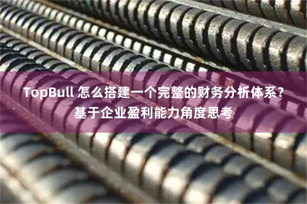 TopBull 怎么搭建一个完整的财务分析体系？基于企业盈利能力角度思考