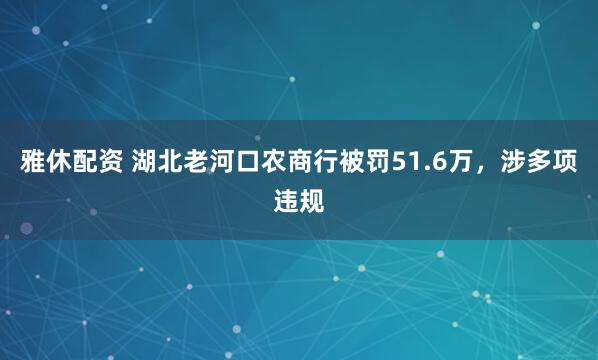 雅休配资 湖北老河口农商行被罚51.6万，涉多项违规