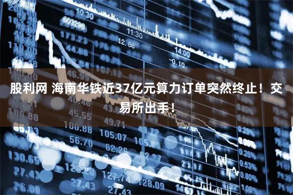 股利网 海南华铁近37亿元算力订单突然终止！交易所出手！
